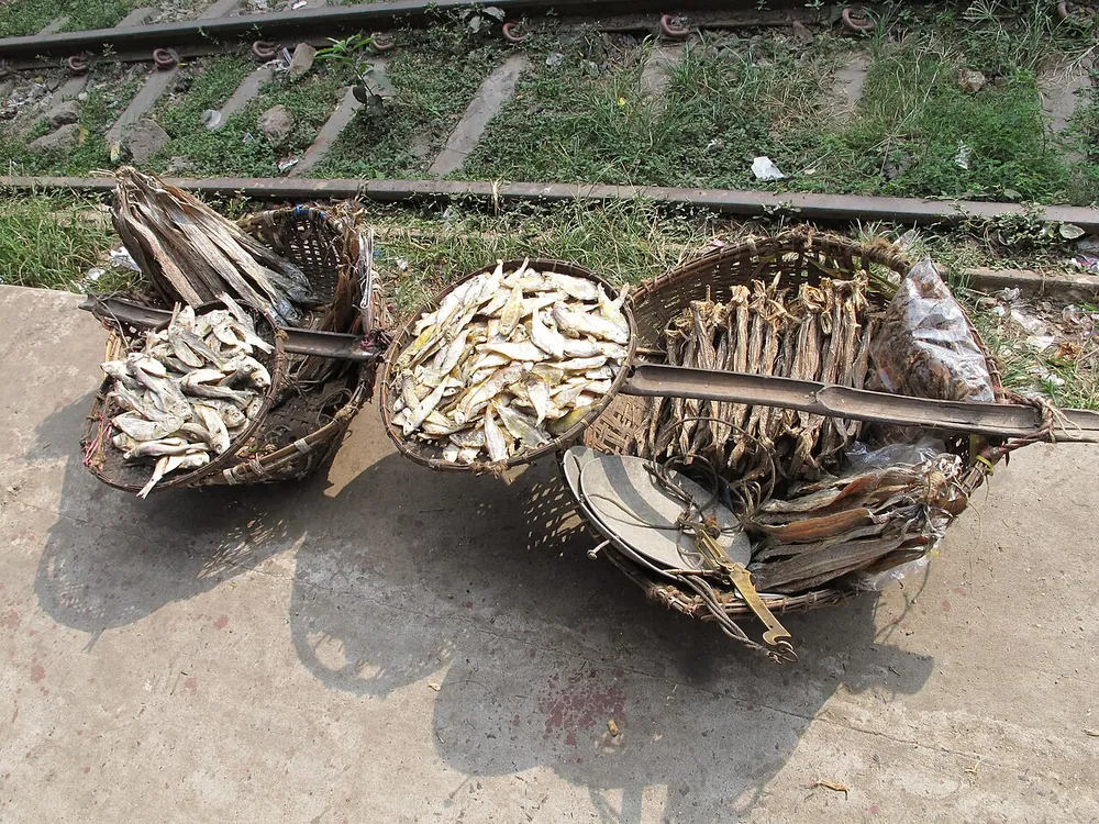 Sun-dried fish in baskets at a market in Chittagong